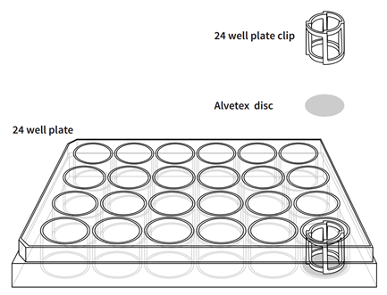 Alvetex™ 3D细胞培养系统-价格-厂家-供应商-WAKO和光纯药（和光纯药工业株式会社）