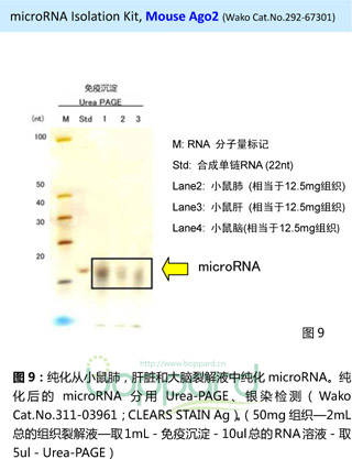 microRNA Isolation Kit, Mouse Ago2 -价格-厂家-供应商-WAKO和光纯药（和光纯药工业株式会社）