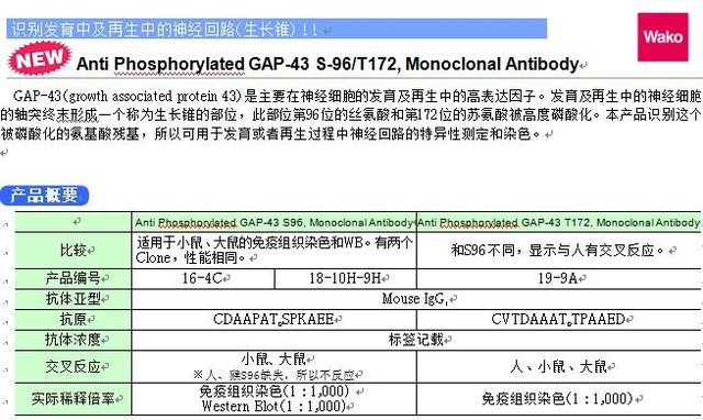 Anti Phosphorylated GAP-43 S-96/T172, Monoclonal Antibody-价格-厂家-供应商-WAKO和光纯药（和光纯药工业株式会社）