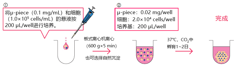 Cellnest μ-piece-价格-厂家-供应商-富士胶片和光（广州）贸易有限公司