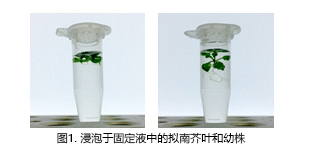 ClearSee®-价格-厂家-供应商-富士胶片和光（广州）贸易有限公司