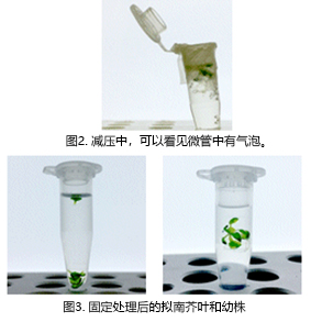ClearSee®-价格-厂家-供应商-富士胶片和光（广州）贸易有限公司
