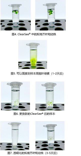 ClearSee®-价格-厂家-供应商-富士胶片和光（广州）贸易有限公司