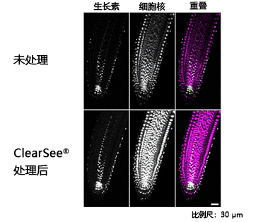 ClearSee®-价格-厂家-供应商-富士胶片和光（广州）贸易有限公司