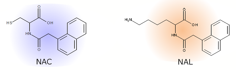 ADRA试剂盒-价格-厂家-供应商-富士胶片和光（广州）贸易有限公司